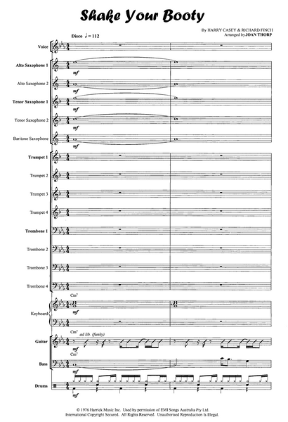 Shake Your Booty - PDF