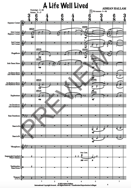 A Life Well Lived - PDF
