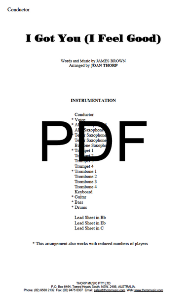 I Got You (I Feel Good) - PDF