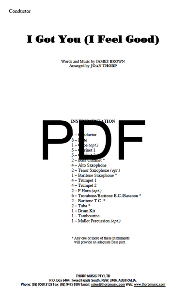 I Got You (I Feel Good) - PDF