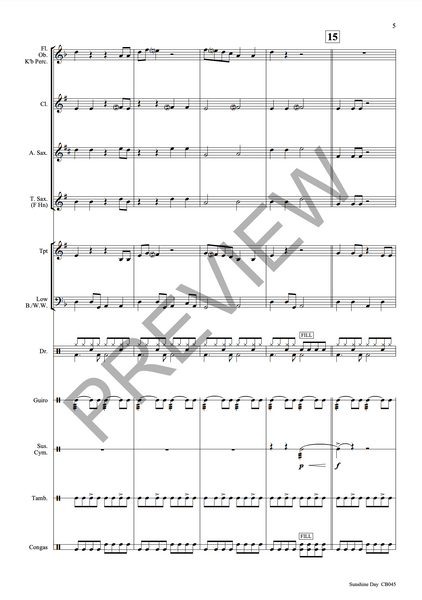 Sunshine Day - PDF