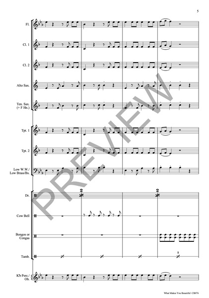 What Makes You Beautiful - PDF