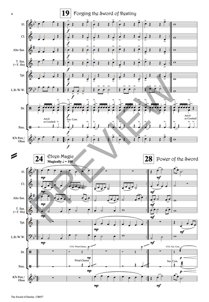 The Sword of Destiny - PDF