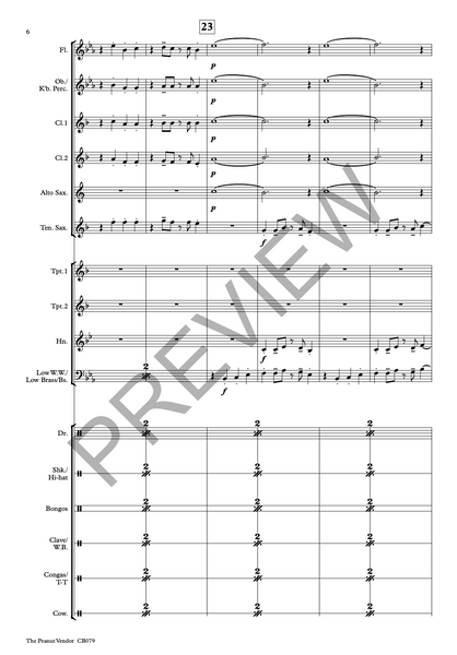 The Peanut Vendor - PDF