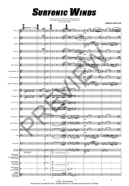 Surfonic Winds
