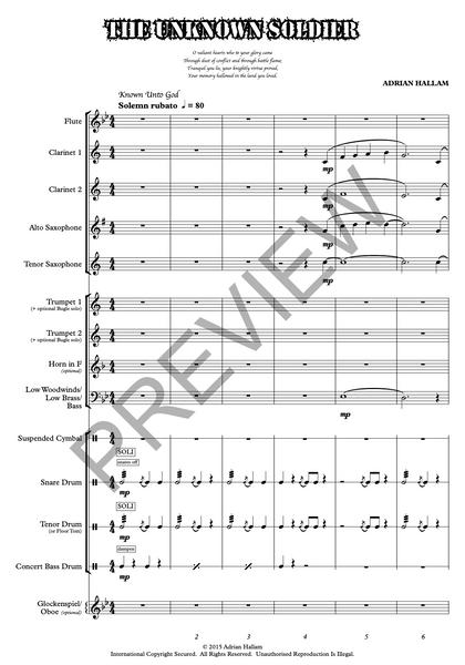 The Unknown Soldier - PDF
