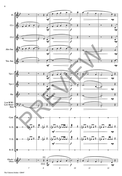 The Unknown Soldier - PDF