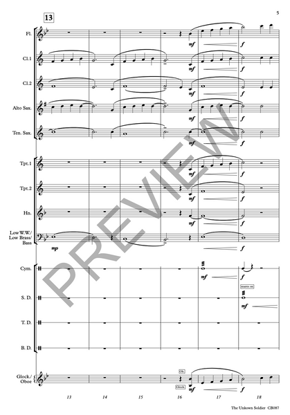 The Unknown Soldier - PDF