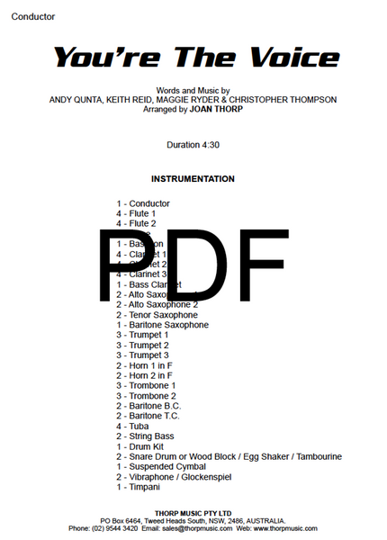 You're The Voice - PDF