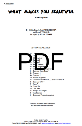 What Makes You Beautiful - PDF