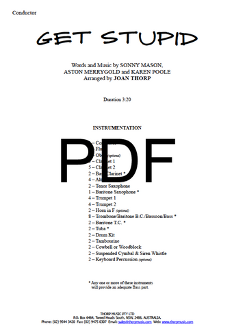 Get Stupid - PDF