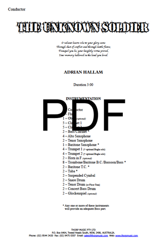 The Unknown Soldier - PDF